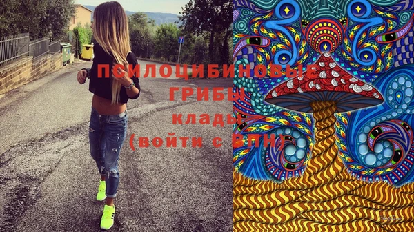 ПСИЛОЦИБИНОВЫЕ ГРИБЫ Верхний Тагил