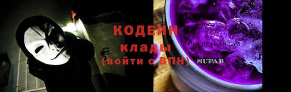 стаф Осинники