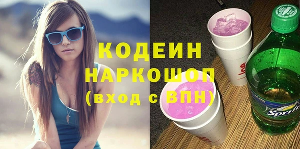 стаф Осинники