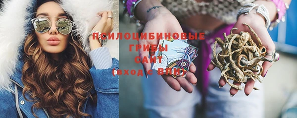 стаф Осинники