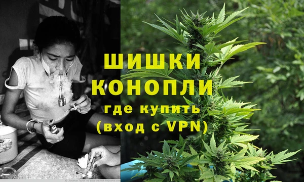 apvp Осташков